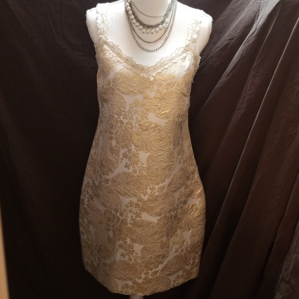Beautiful Cream and Gold Tahari Dress